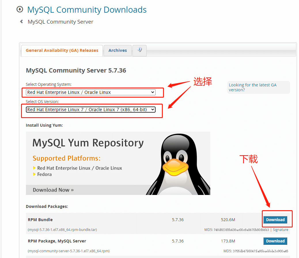 下载mysql-2